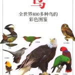 《中国昆虫生态大图鉴》 +《全世界800多种鸟的彩色图鉴》PDF分享