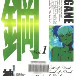 漫画 钢HAGANE[全16卷] JPG格式｜科幻少女战斗漫画